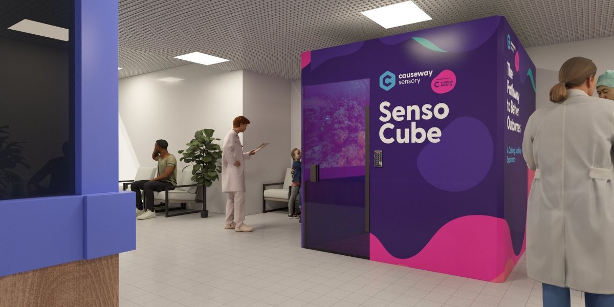 Redefining Sensory Support in Mental Health Settings: The Senso Cube™