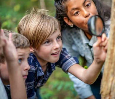 Forest Schools | Creative Activity
