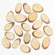 Wood Craft Slices 20pk | Creative Activity