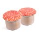 Nature Toadstool Seats 2 Large Toadstools | Creative Activity