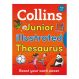 Collins Primary Thesaurus | Creative Activity