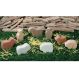 Small World Little Lands Farm | Creative Activity