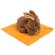 Weighted Lap Buddies & Blanket Rabbit | Creative Activity