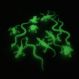 Glow in the Dark Reptiles Set  | Creative Activity
