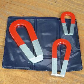 Horseshoe Magnets Assorted Sizes