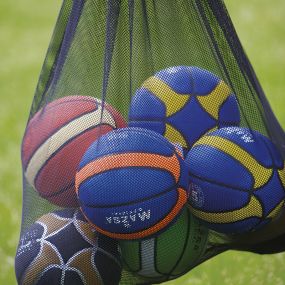 Giant Mesh Ball Carry Bag