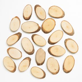 Wood Craft Slices 20pk