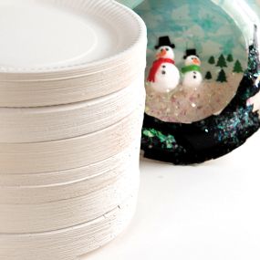 White Paper Plates Bulk Packs