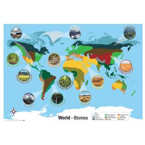 Biomes World Map A1