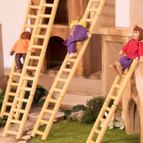 Small World Ladders