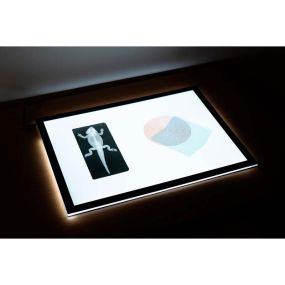 Ultra-Bright LED Light Panel A1