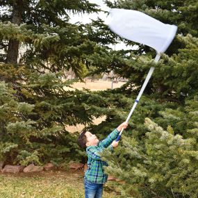 Telescopic Sweep Net