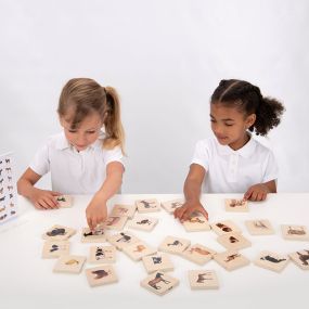 Domestic Animal Family Match | Creative Activity