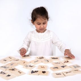 Wild Animal Family Match | Creative Activity