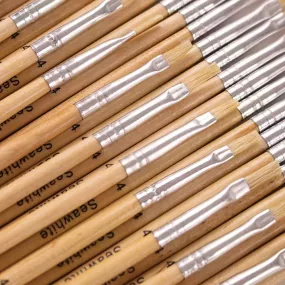 Hogs Hair Educational Brush Pack Flat Size 4 Box of 50