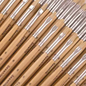 Hogs Hair Educational Brush Pack Flat Size 6 Box of 50