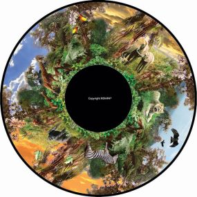 Effect Wheels Africa | Creative Activity