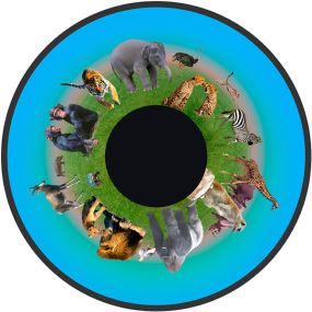 Animals Opti  Effect Wheel