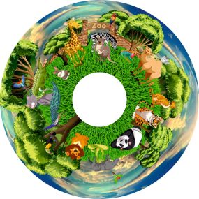 At the Zoo Opti Effect Wheel