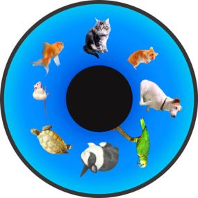 Family Pets Opti Effect Wheel