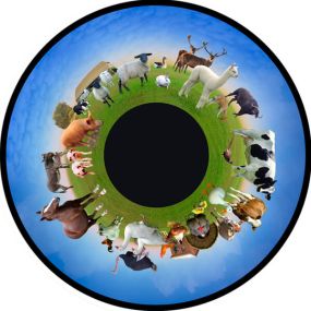 Farm Animals Opti Effect Wheel