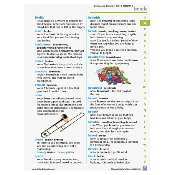 Collins Primary Dictionary Single | Creative Activity