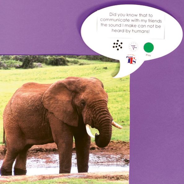 Talk-time A5 Recordable Speech Bubble | Creative Activity