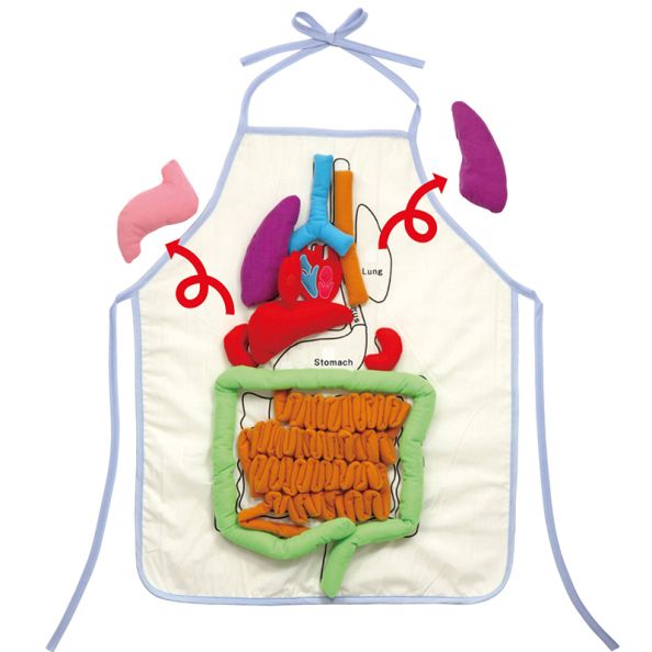 Human Anatomy Apron | Creative Activity