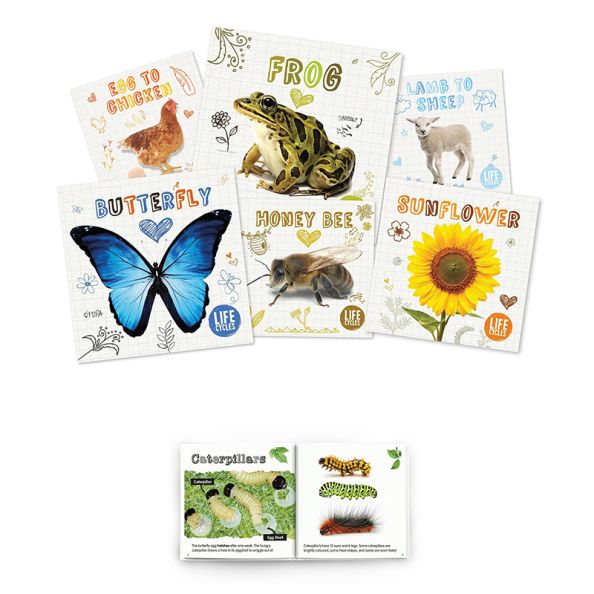 Life Cycles Book Pack | Creative Activity