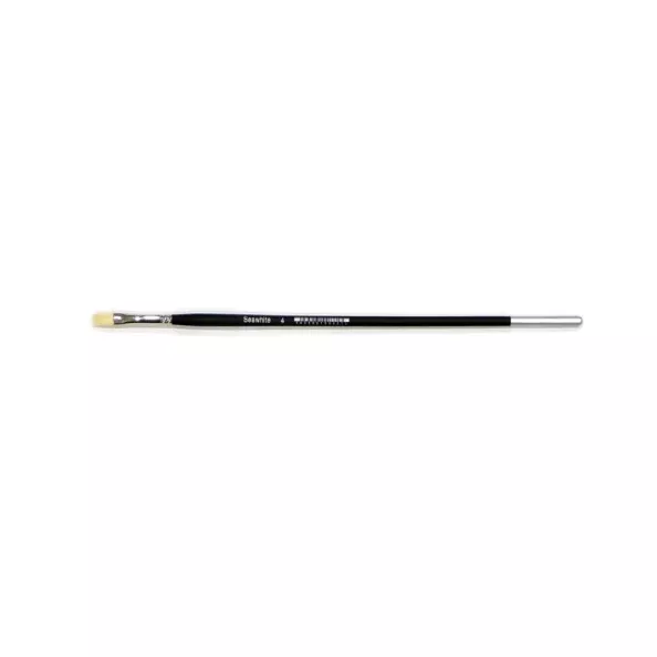 Professional Bristle Brush - Flat Size 4