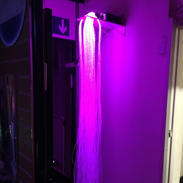 Fibre Optic Shower Support