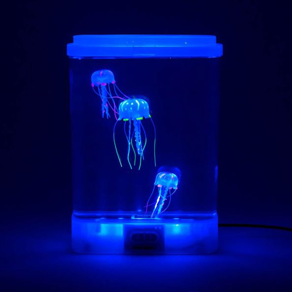Jellyfish Glow Tank