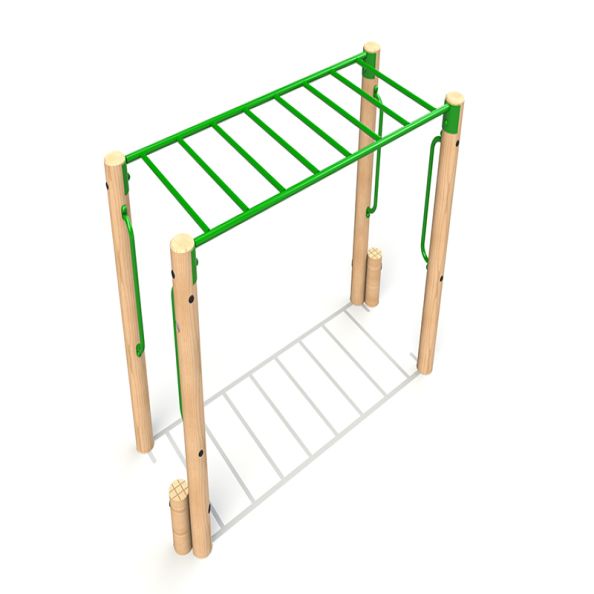 Horizontal Ladder Trim Trail  | Creative Activity