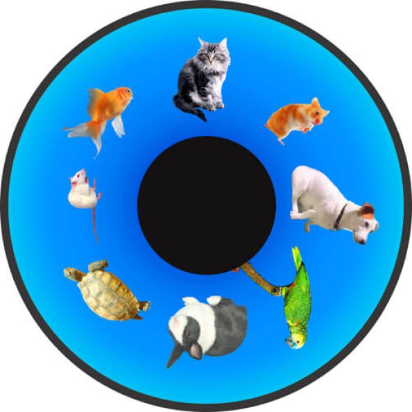 Family Pets Opti Effect Wheel