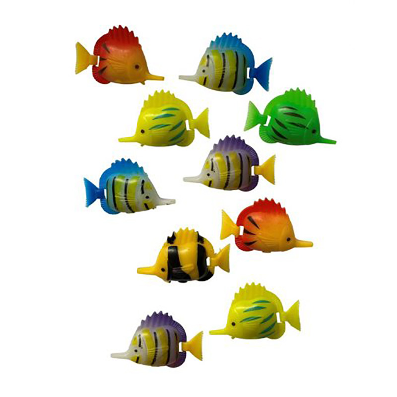 Bg fish 2024 supplies