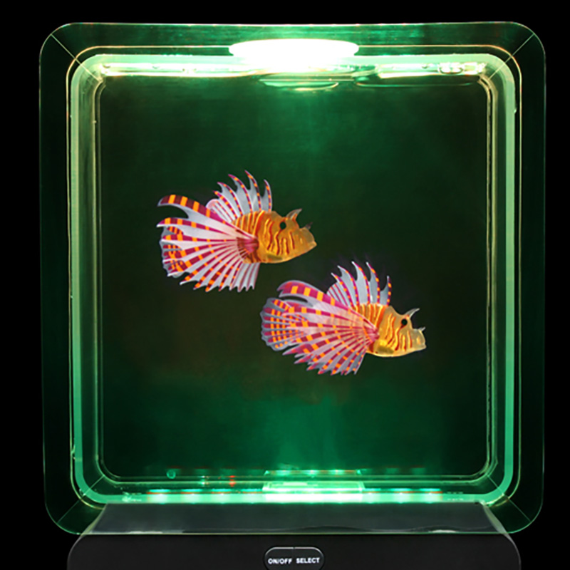 Square fish tank hotsell