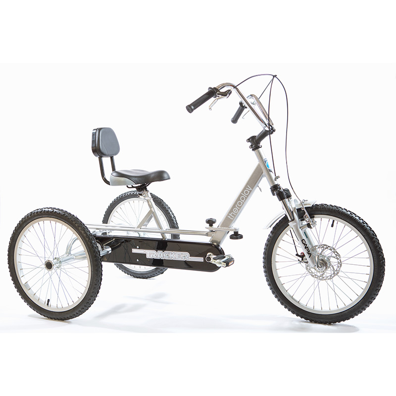 T5 Tricycles TMX Creative Activity